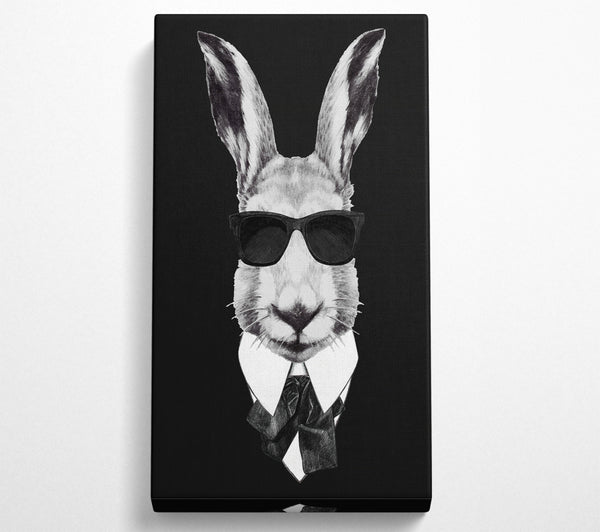 Mafia Rabbit