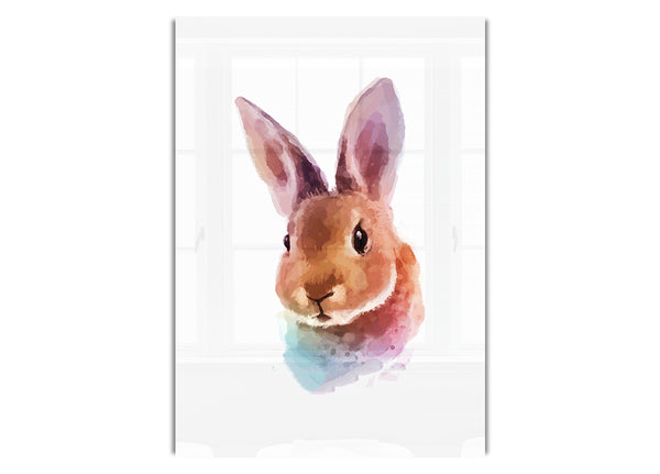 Rabbit Portrait