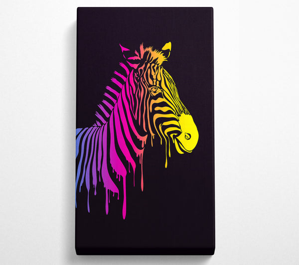 Zebra Rainbow