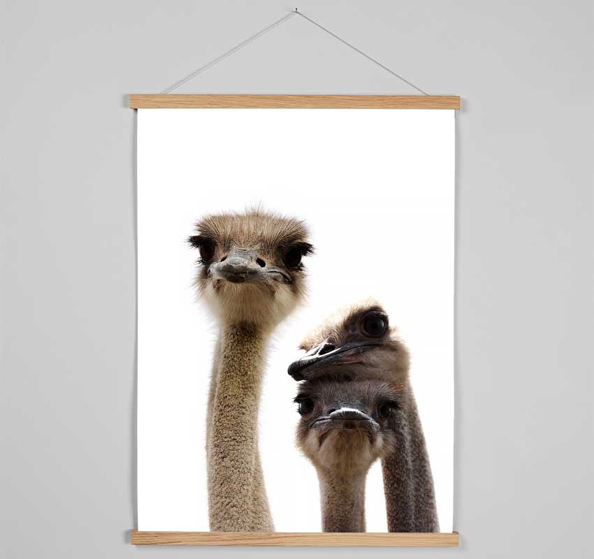 Ostrich Love Hanging Poster - Wallart-Direct UK