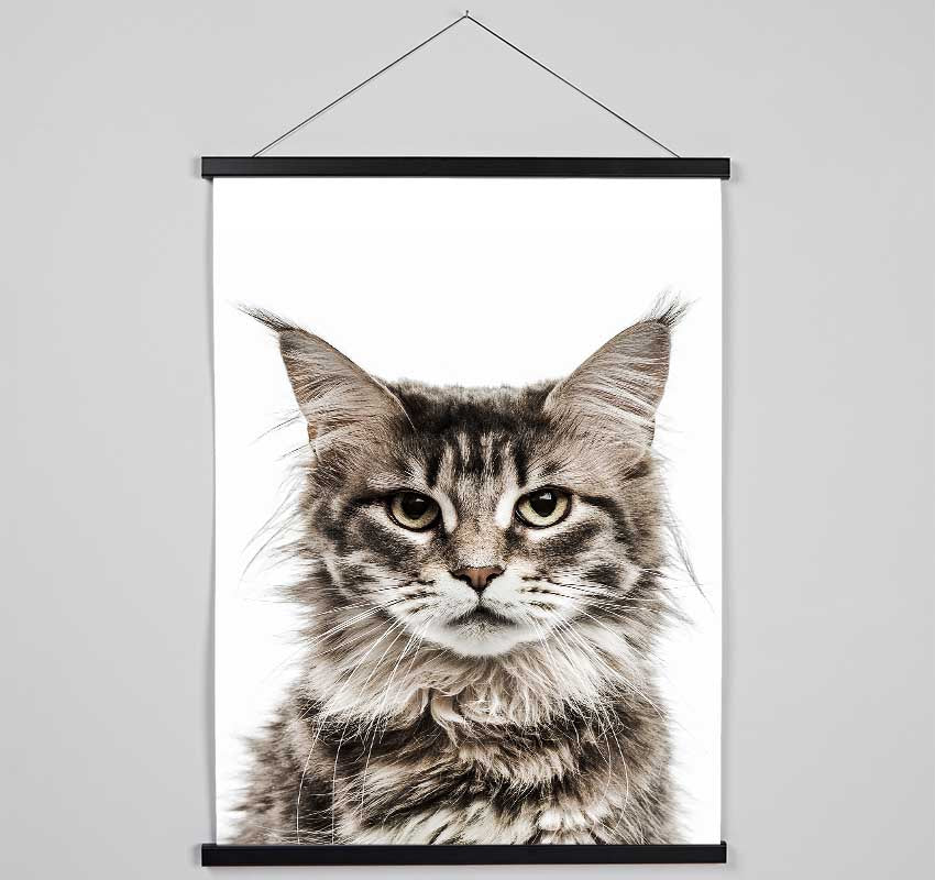 Cat Face Beauty Hanging Poster - Wallart-Direct UK