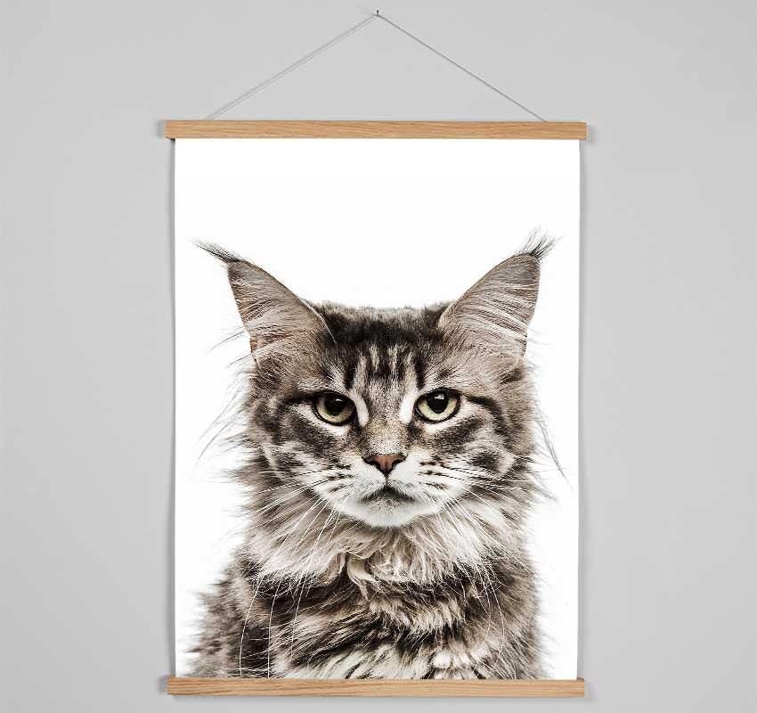 Cat Face Beauty Hanging Poster - Wallart-Direct UK