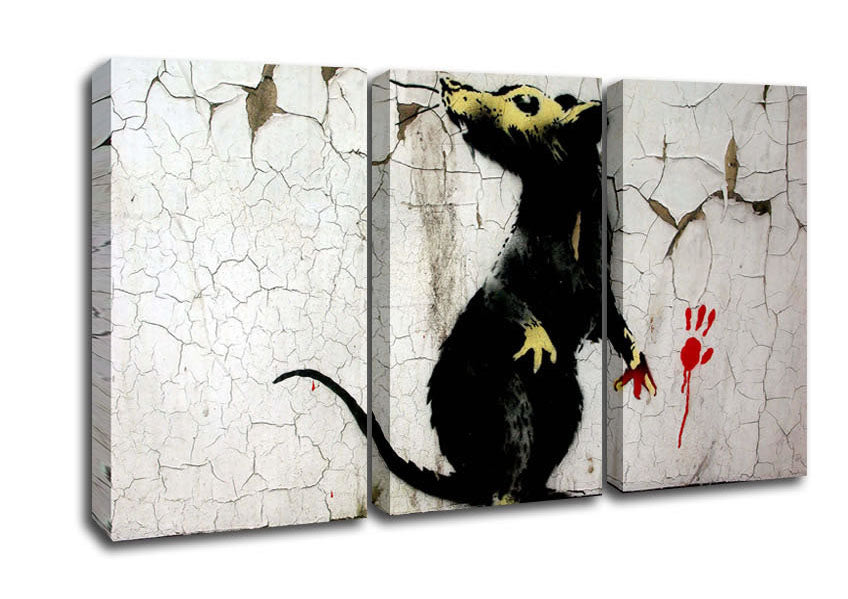 Picture of Rat Paw 3 Panel Canvas Wall Art