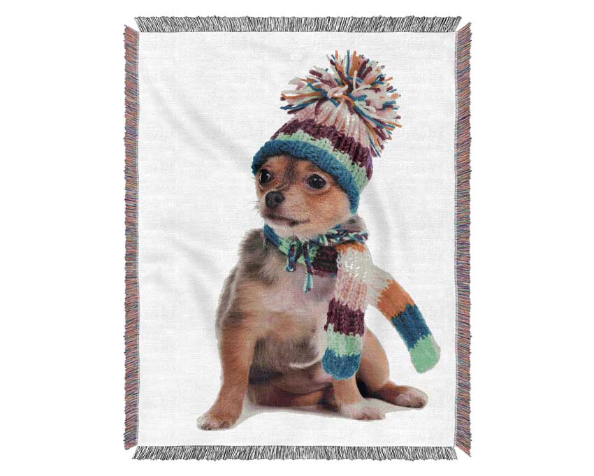 Chihuahua Dog Dressed For Winter Woven Blanket