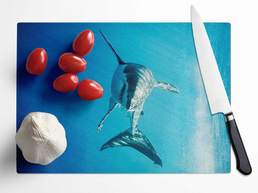 Shark Smile Glass Chopping Board