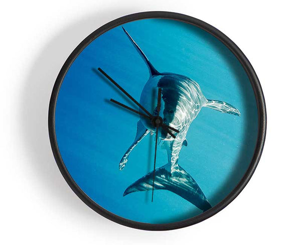 Shark Smile Clock - Wallart-Direct UK