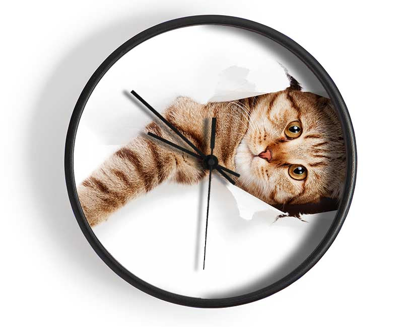 Cat Attack Clock - Wallart-Direct UK