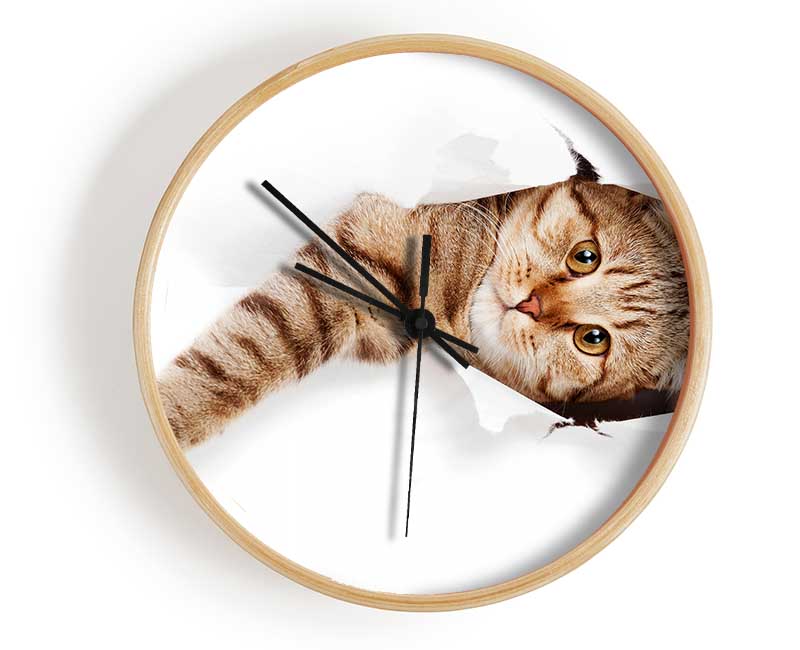 Cat Attack Clock - Wallart-Direct UK