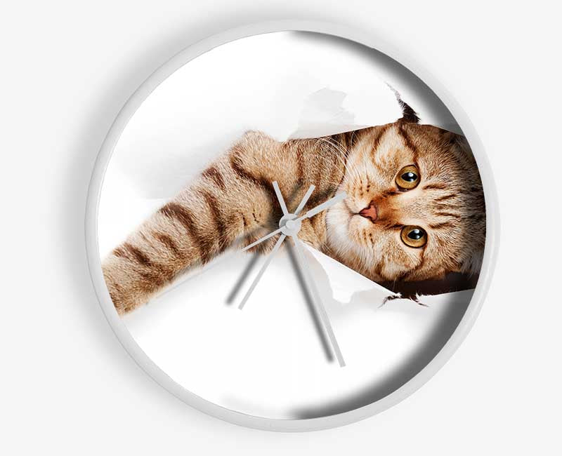 Cat Attack Clock - Wallart-Direct UK