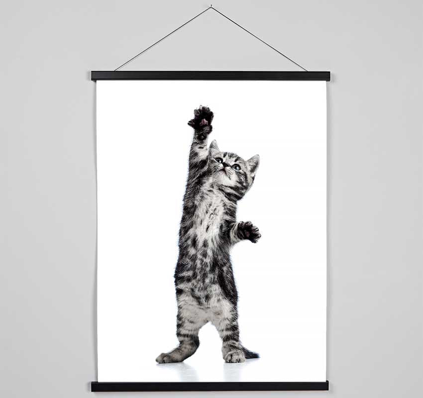 High Five Cat Hanging Poster - Wallart-Direct UK