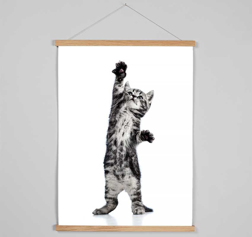 High Five Cat Hanging Poster - Wallart-Direct UK