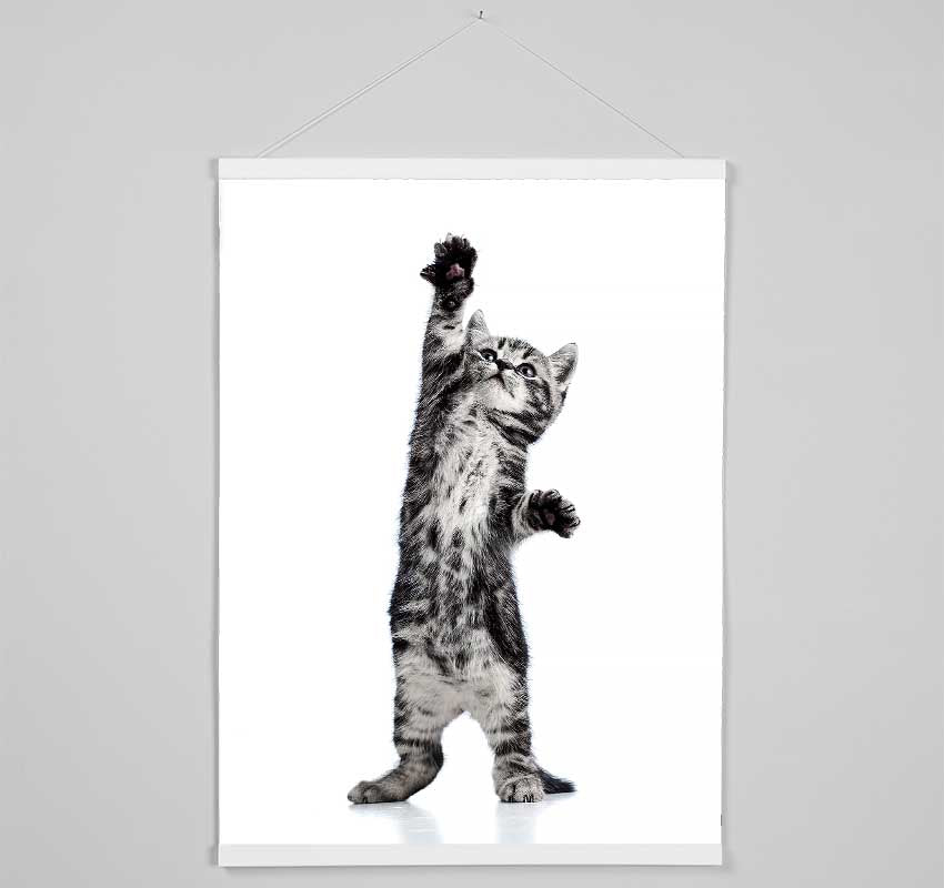 High Five Cat Hanging Poster - Wallart-Direct UK