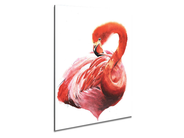 Flamingo Groom