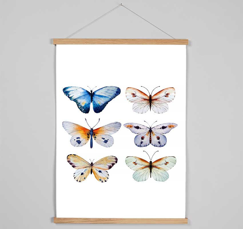 Butterfly Breeds Hanging Poster - Wallart-Direct UK