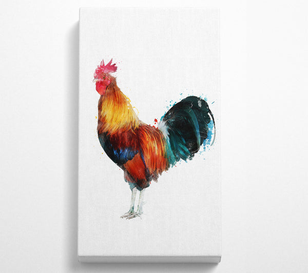 Rooster