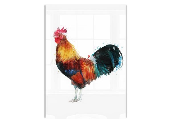 Rooster