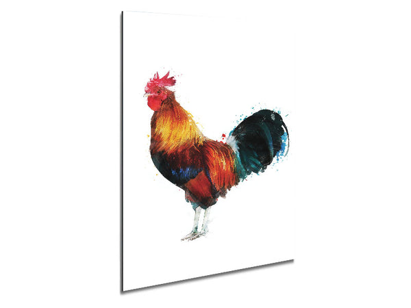 Rooster