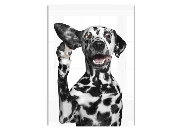 Dalmation Dog High Five