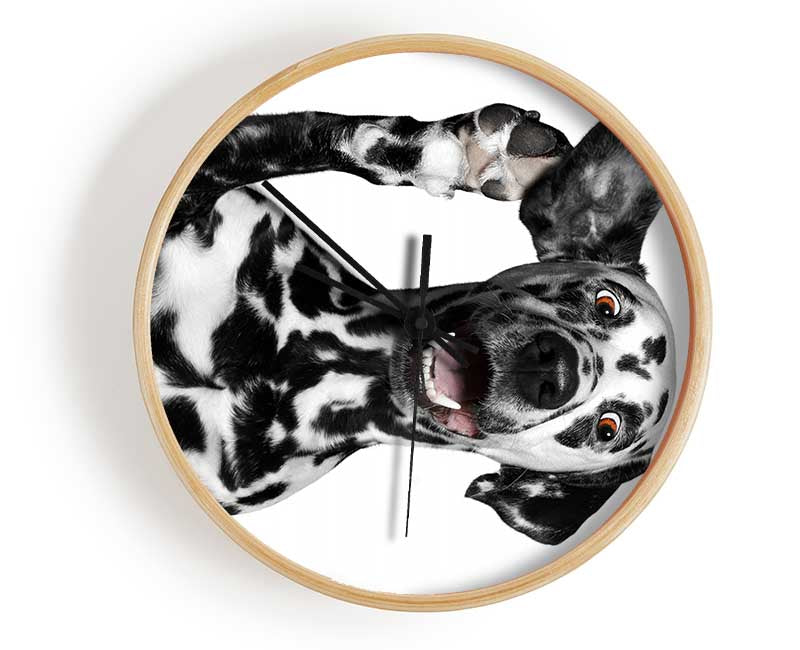 Dalmation Dog High Five Clock - Wallart-Direct UK