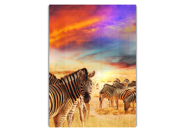 Stunning Zebra Skies