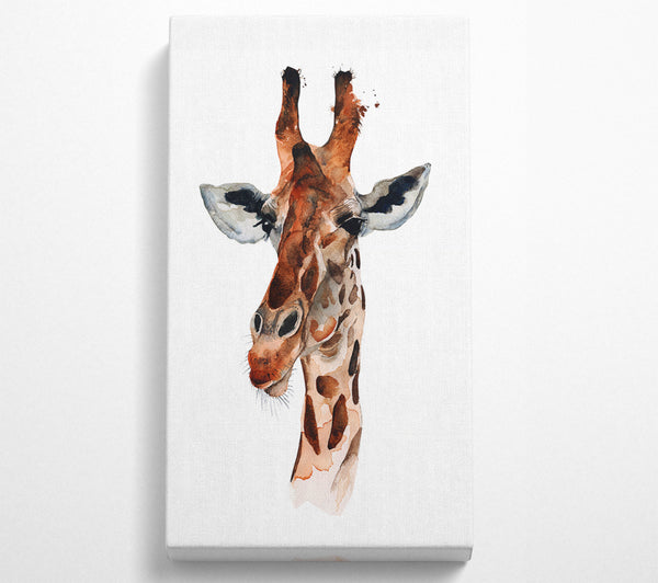 Neugierige Giraffe