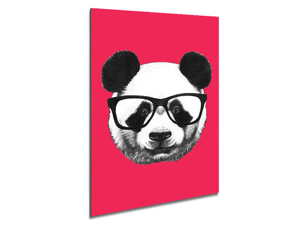 Funky Panda