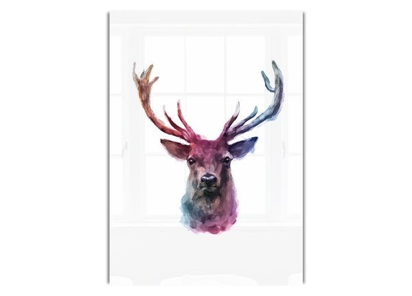 Stag Head Colours