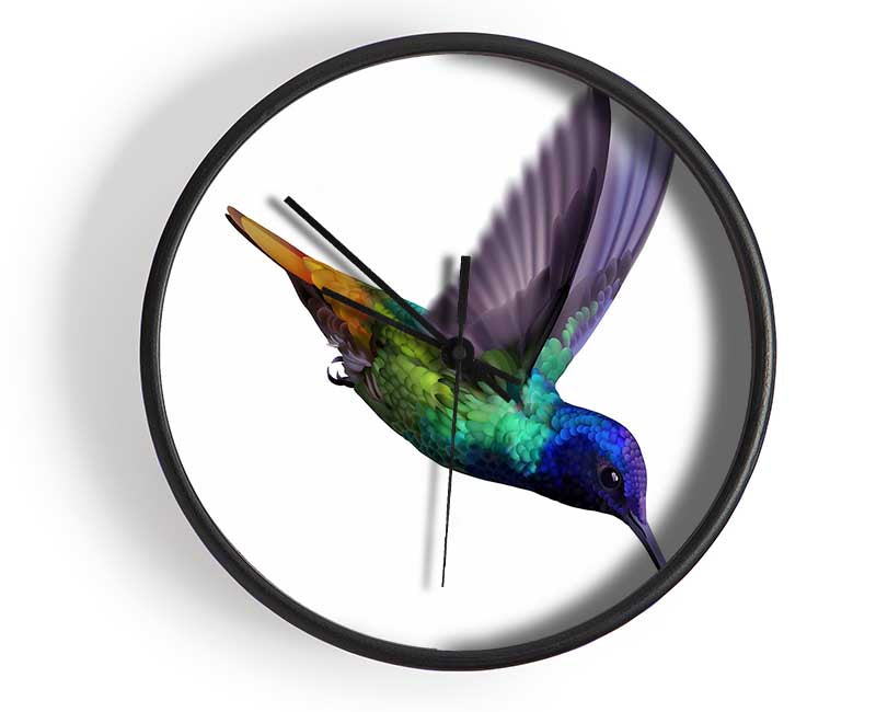 Hummingbird Colours Clock - Wallart-Direct UK