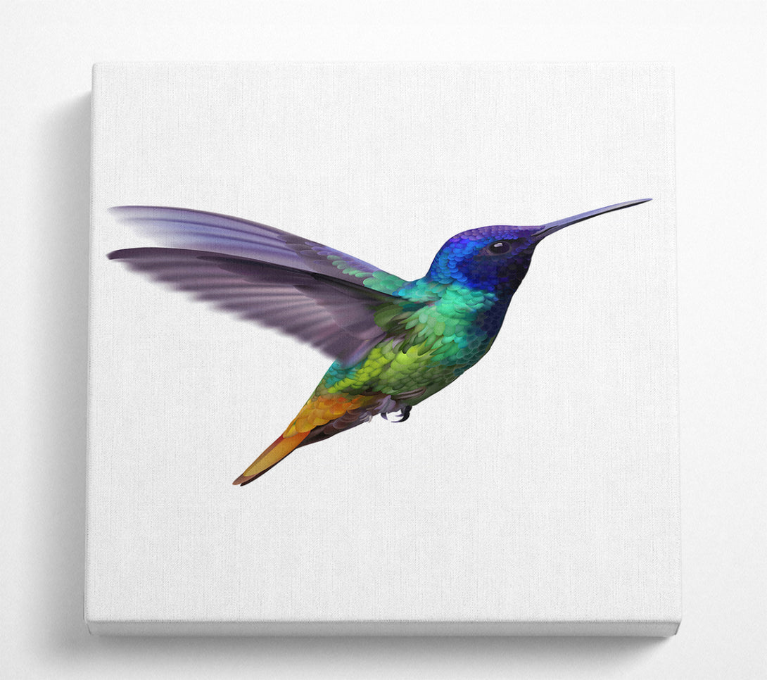 A Square Canvas Print Showing Hummingbird Colours Square Wall Art