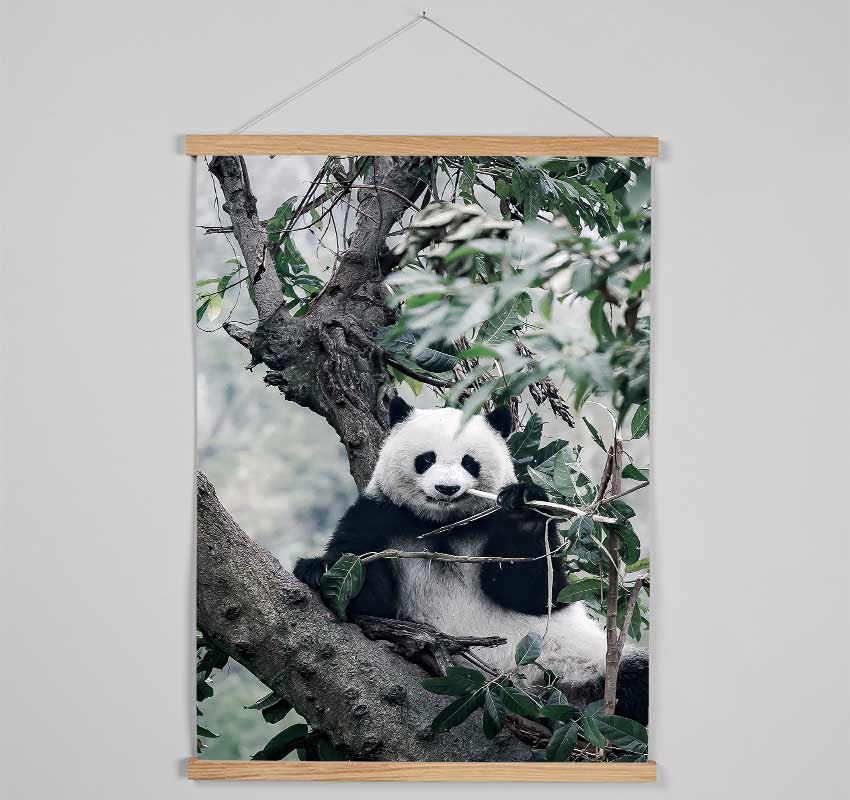 Panda Tree Lover Hanging Poster - Wallart-Direct UK