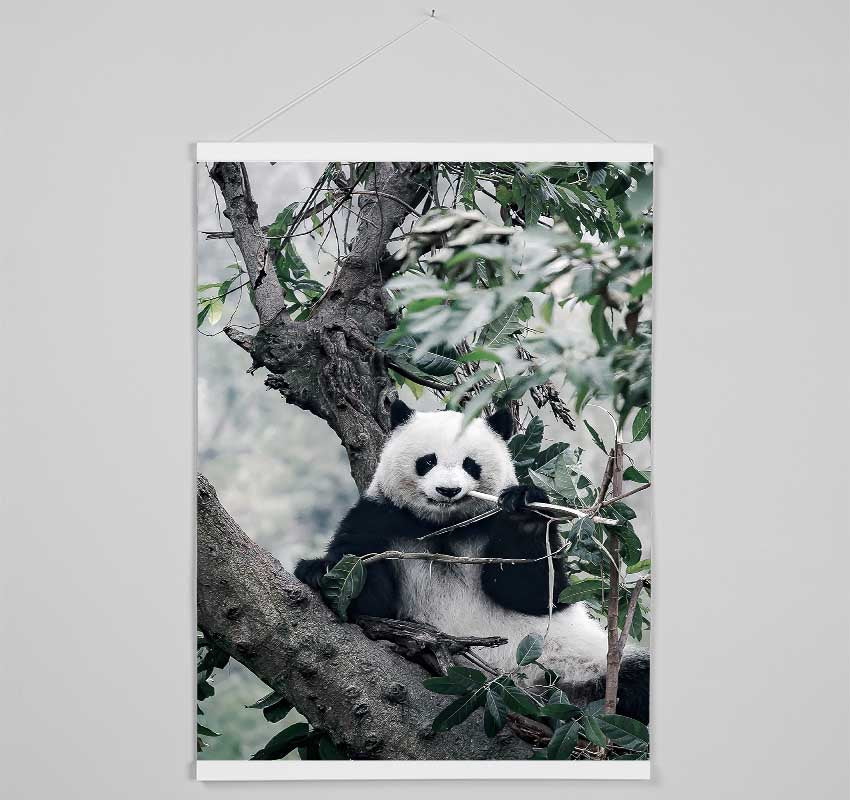 Panda Tree Lover Hanging Poster - Wallart-Direct UK