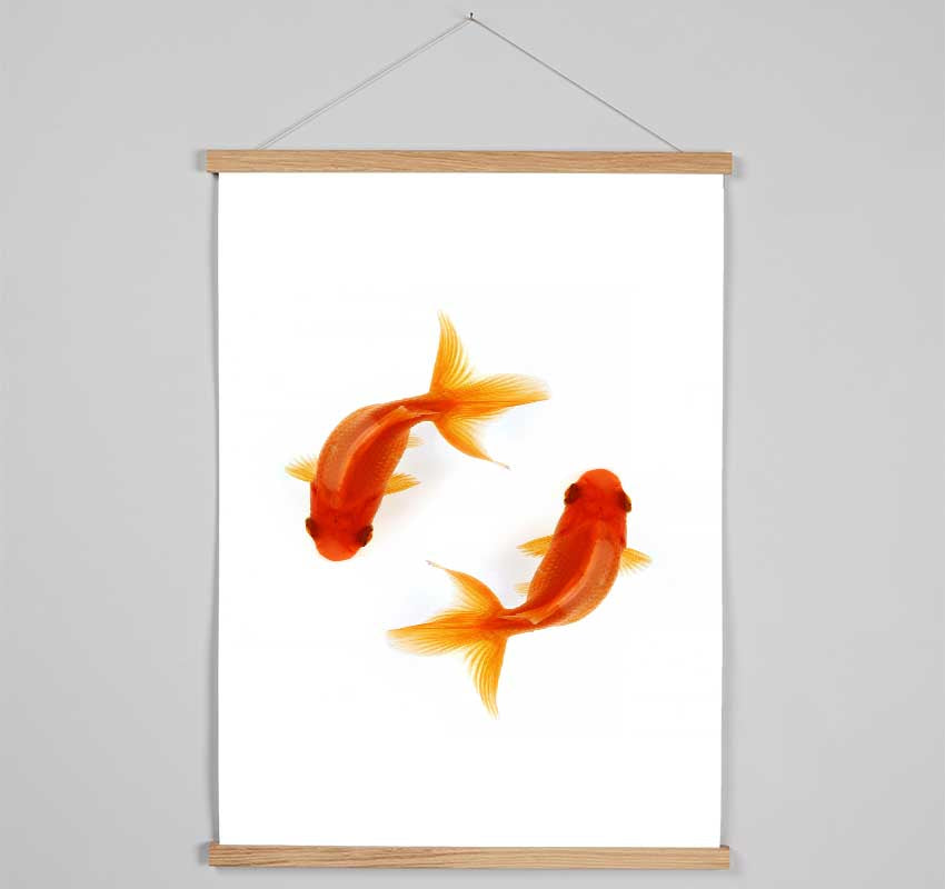 Goldfish Reflections Hanging Poster - Wallart-Direct UK