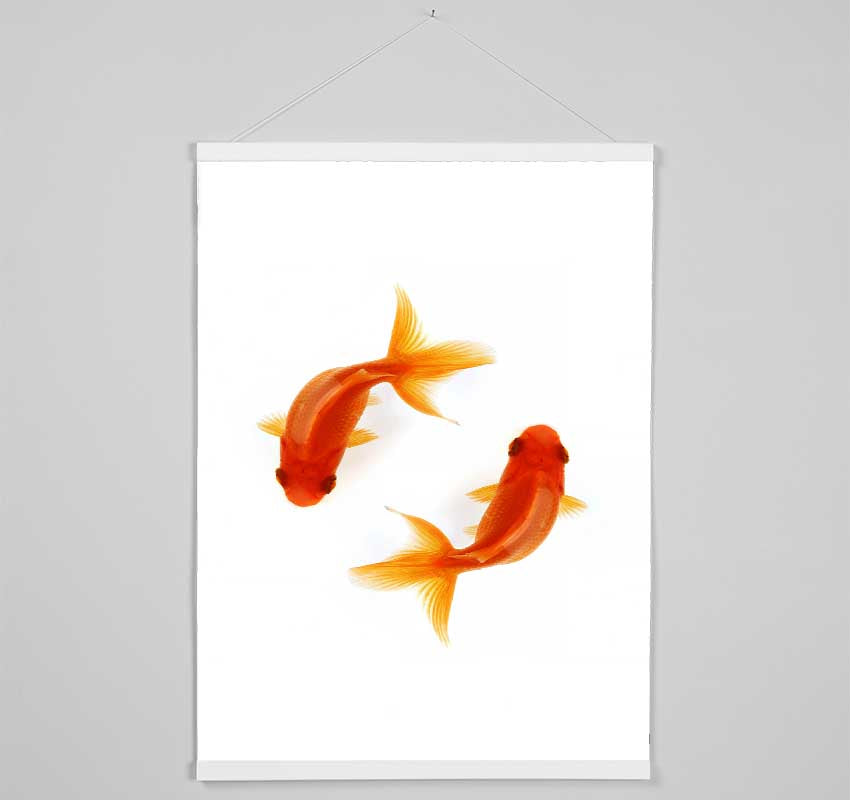 Goldfish Reflections Hanging Poster - Wallart-Direct UK