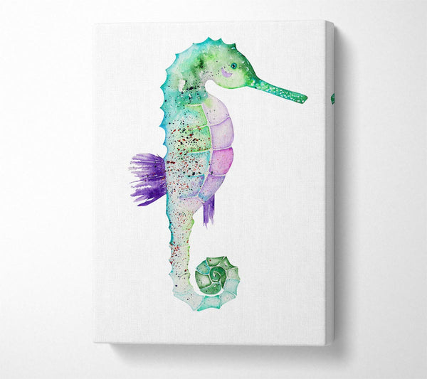 Picture of Spotted Seahorse Canvas Print Wall Art