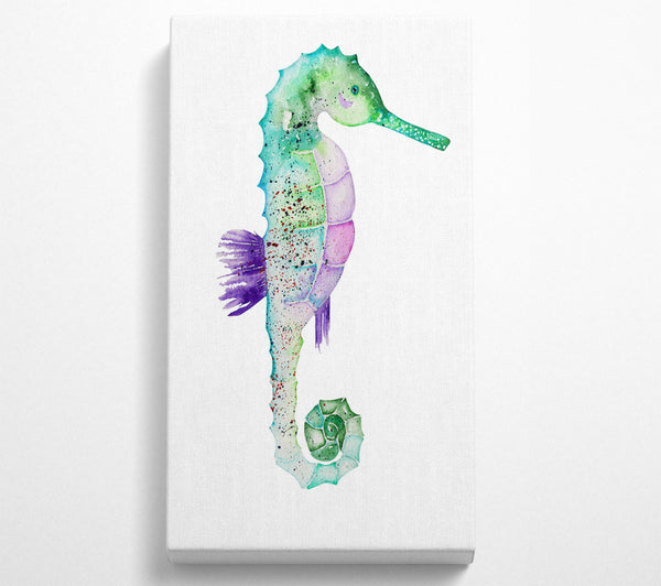 Spotted Seahorse