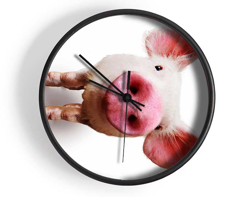 Curious Pig Clock - Wallart-Direct UK