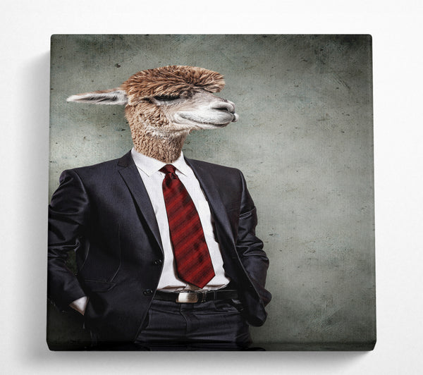 A Square Canvas Print Showing Business Llama Square Wall Art