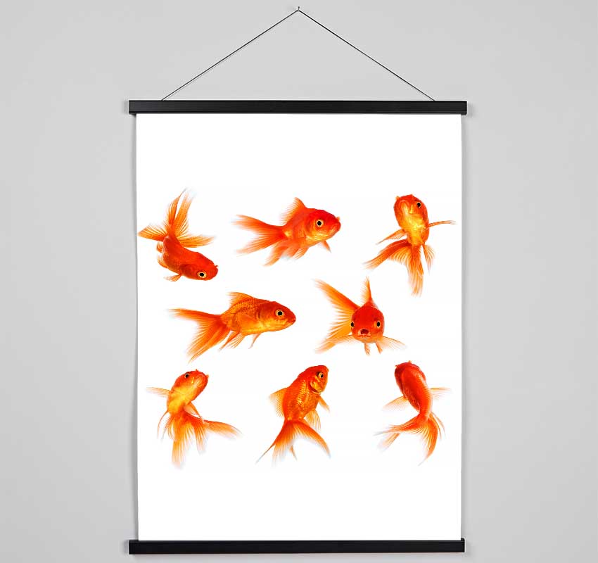 Goldfish Party Hanging Poster - Wallart-Direct UK