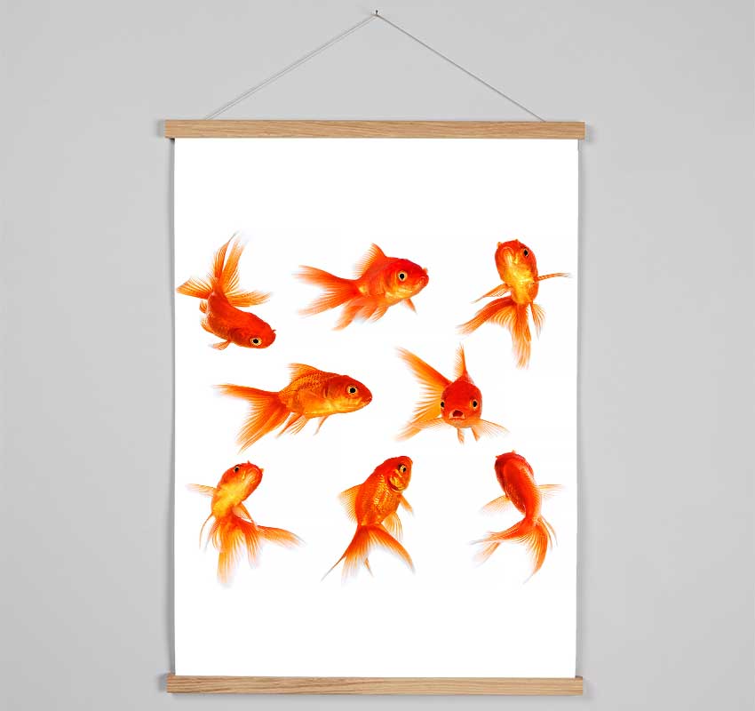 Goldfish Party Hanging Poster - Wallart-Direct UK