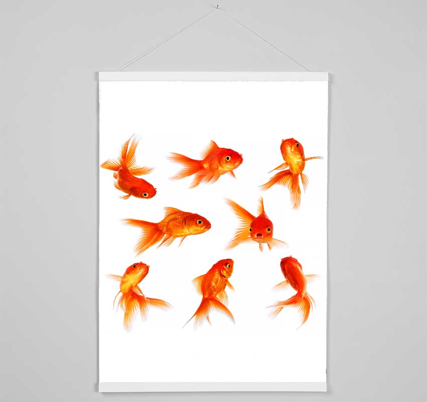 Goldfish Party Hanging Poster - Wallart-Direct UK