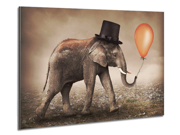 Top Hat Elephant