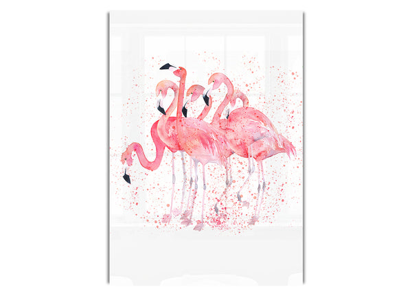 Pink Flamingo Splash