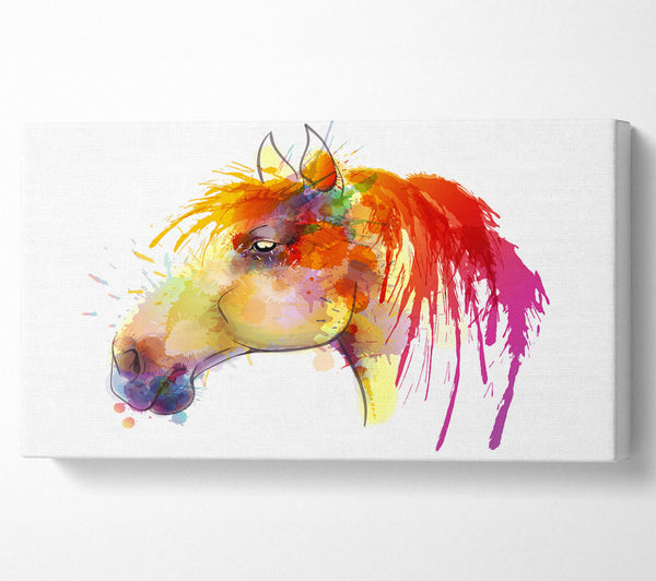 Beautiful Rainbow Horse