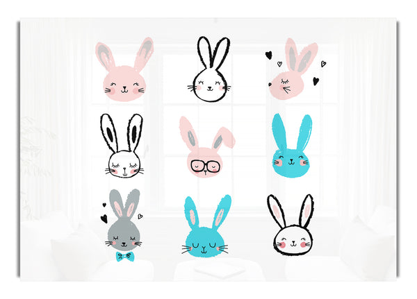 Rabbit Faces