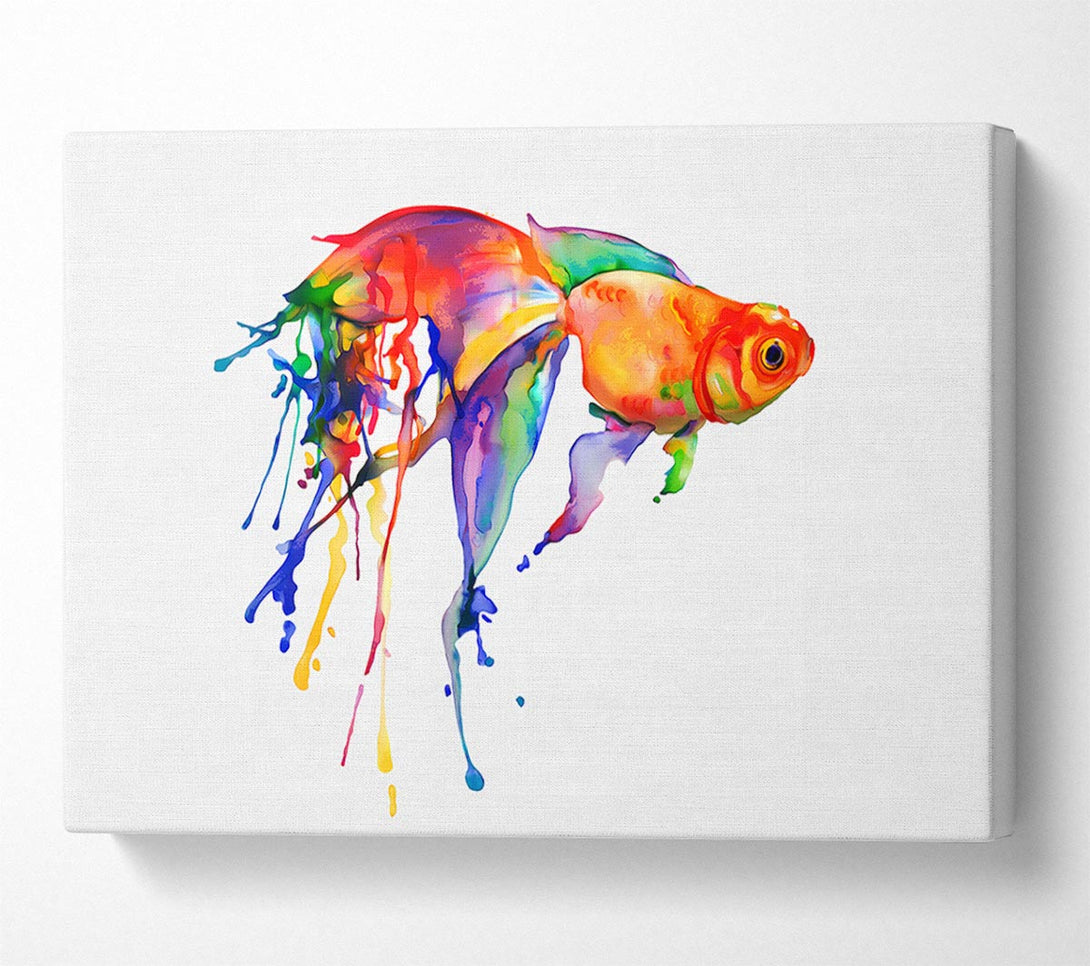 Picture of Rainbow Goldfish Canvas Print Wall Art