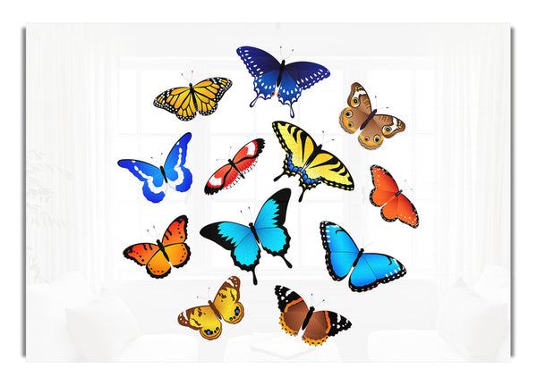 Colourful Butterflies