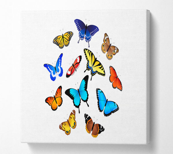 A Square Canvas Print Showing Colourful Butterflies Square Wall Art