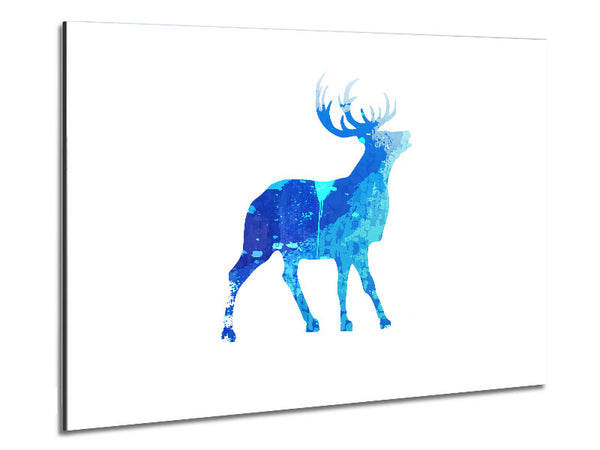 Blue Stag Calling