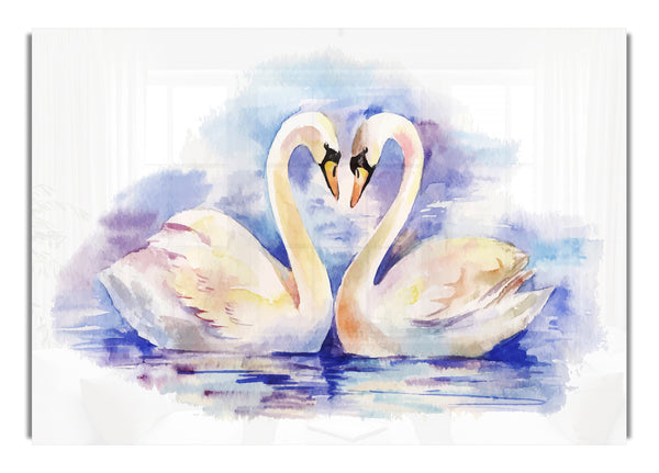 Swan Love