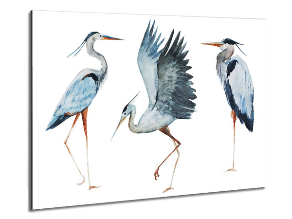 Heron Trio